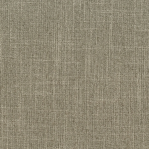 Archetype Silt*