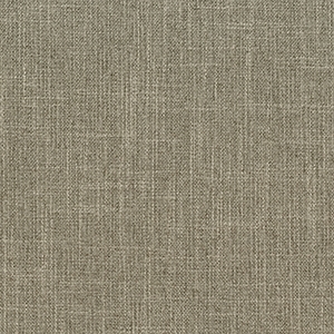 Archetype Silt*