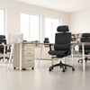 Picture of Align P/N CH3803BLF-03 High Back Ergonomic Office Chair with Lumbar Support
