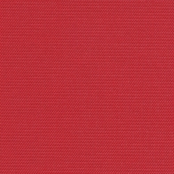 Poppy (Q-2)*