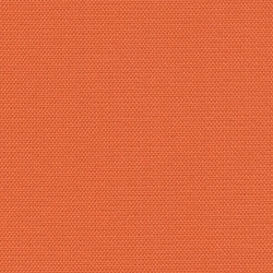 Pumpkin (Q-3)*
