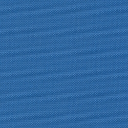 Buzz Blue (Q-1)*