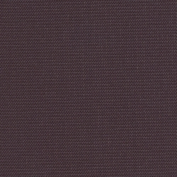 Eggplant (P-9)*