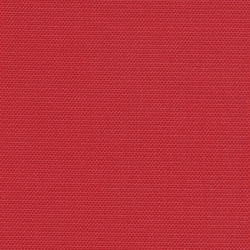 Poppy (Q-2)*