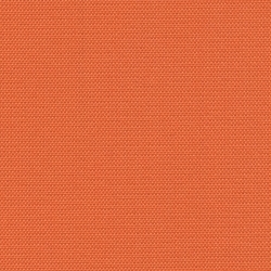 Pumpkin (Q-3)*
