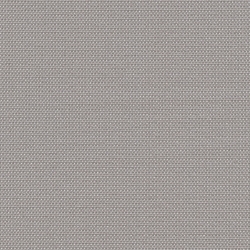 SIlver Grey (P-4)*