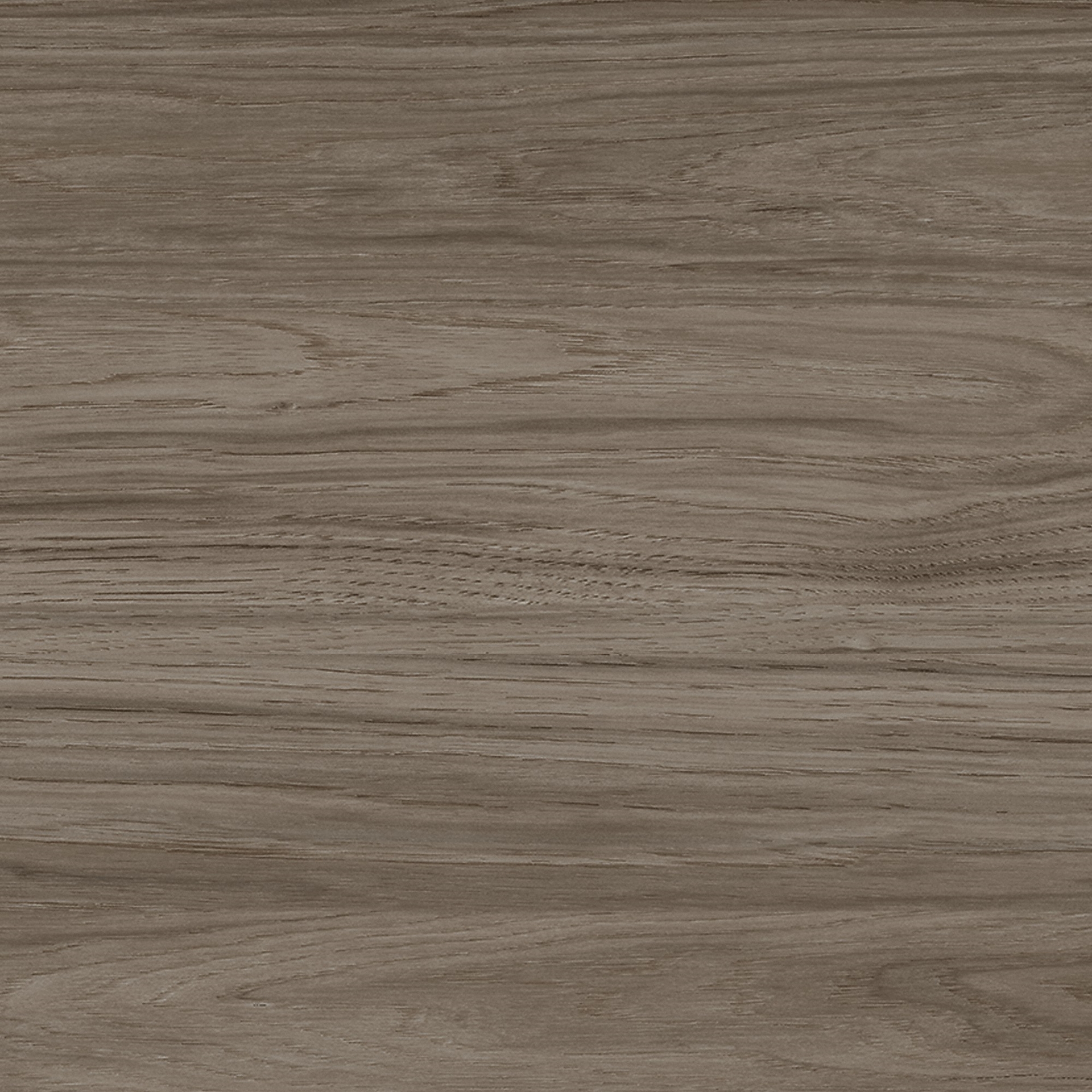 Modern Hickory