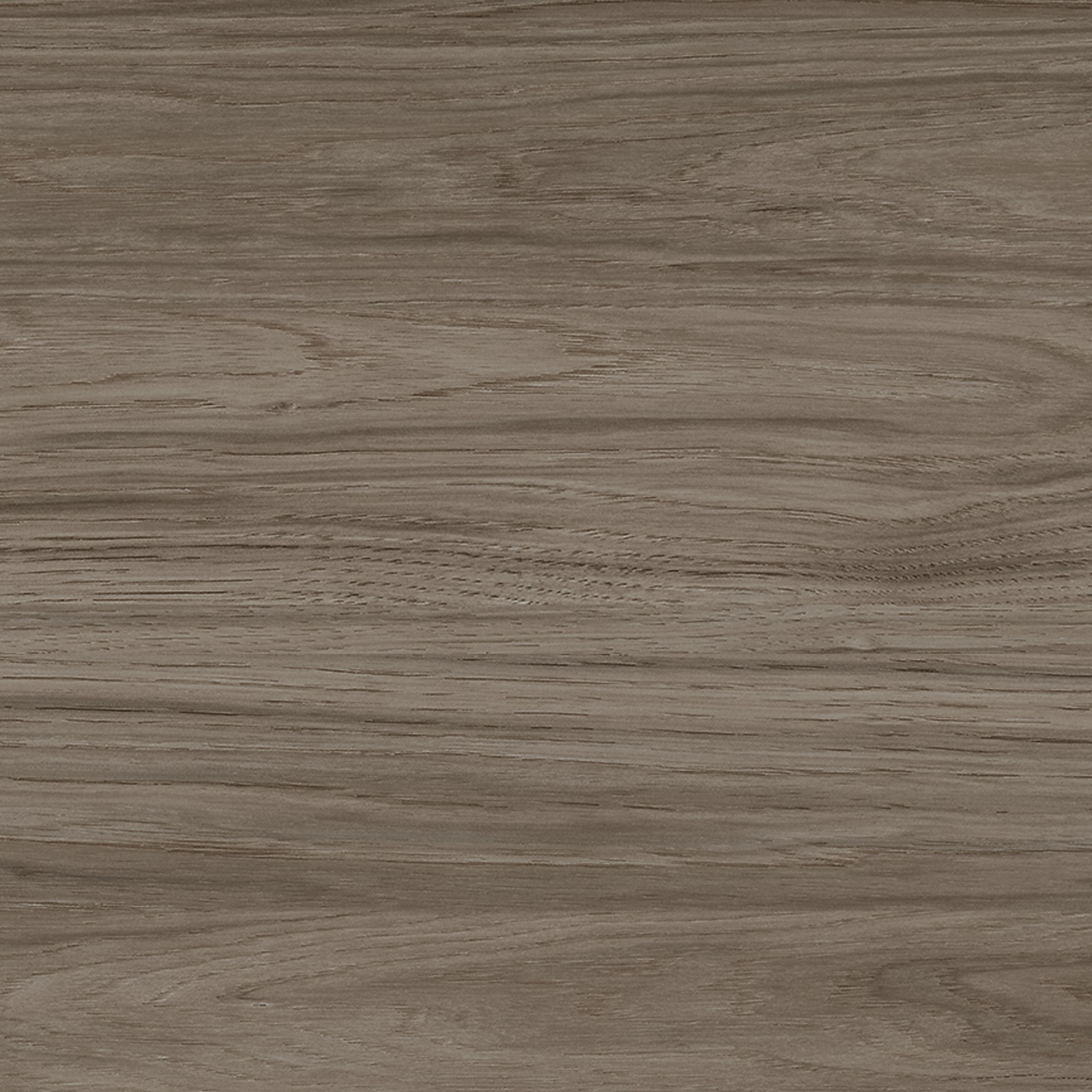 Modern Hickory