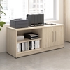 Picture of Vista VSS160 Low Storage Cabinet with Doors and Shelves
